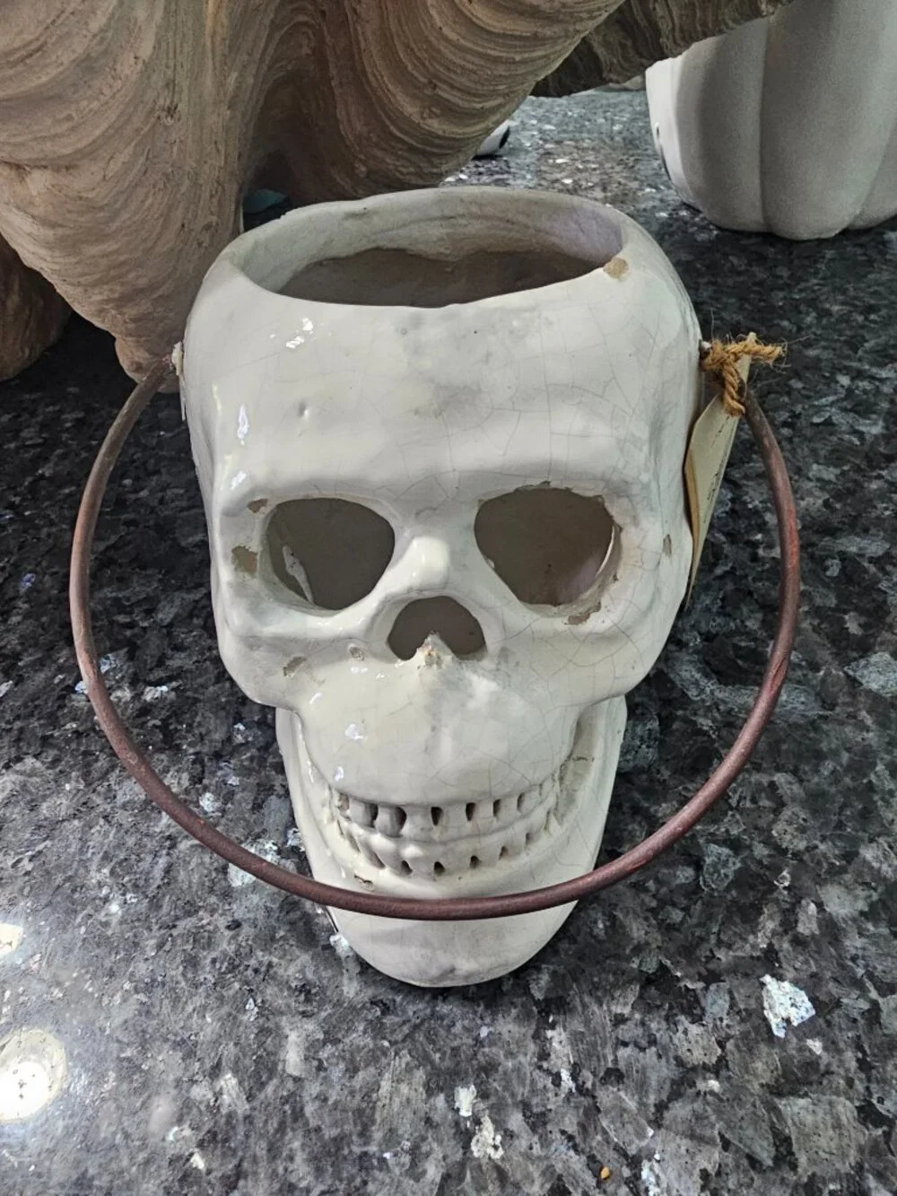 Pottery Barn Halloween Skull Lantern and Snake Vase Filler